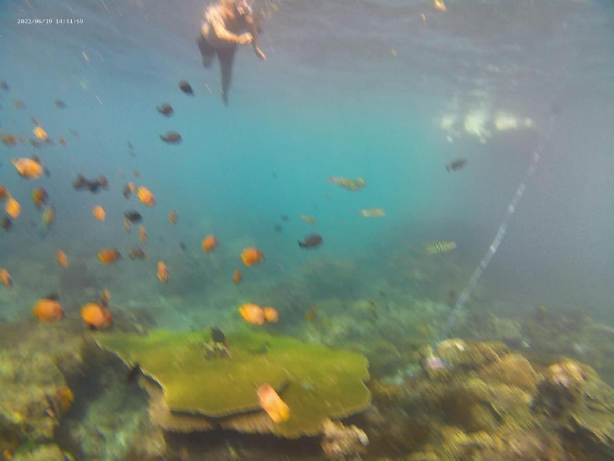 Griya Nusa Batununggul Dış mekan fotoğraf